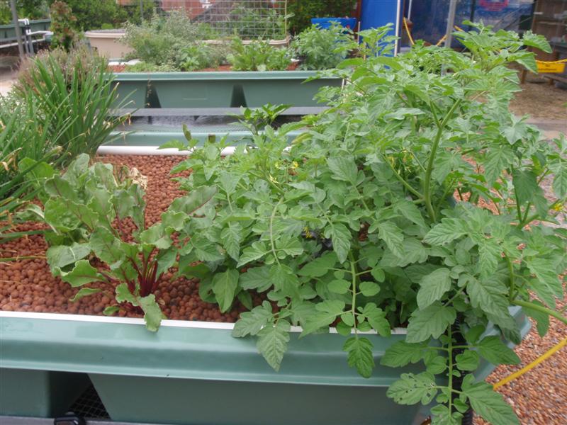 PC080367 (Medium).JPG