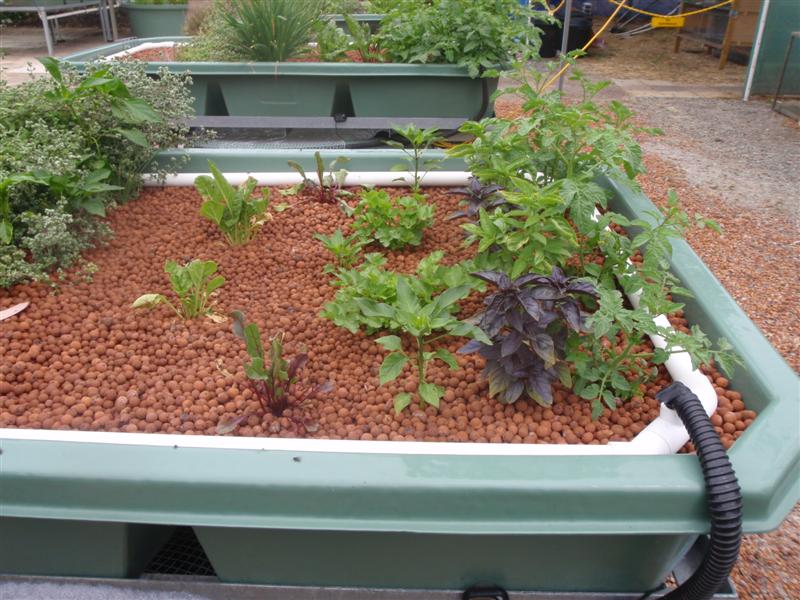 PC080368 (Medium).JPG