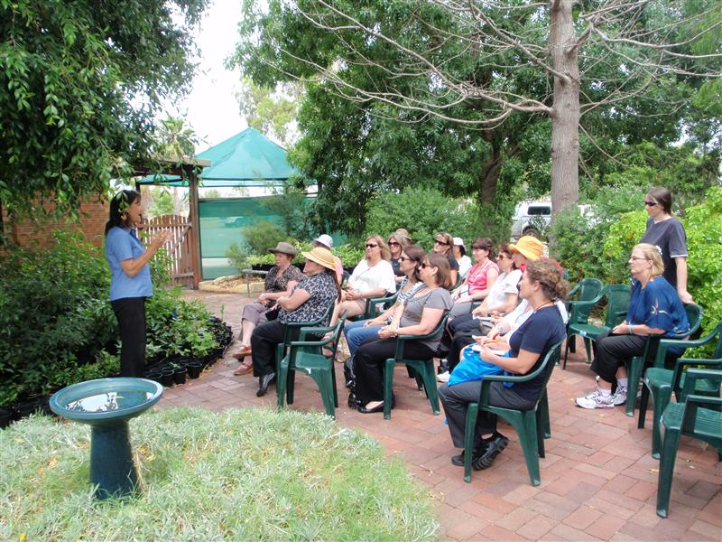 PC090263 (Custom).JPG