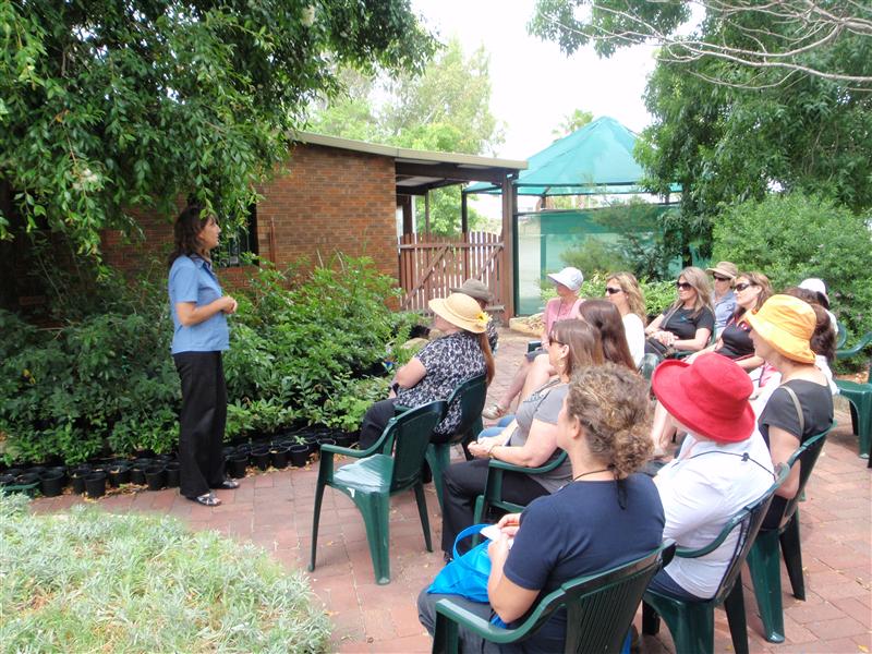 PC090264 (Custom).JPG