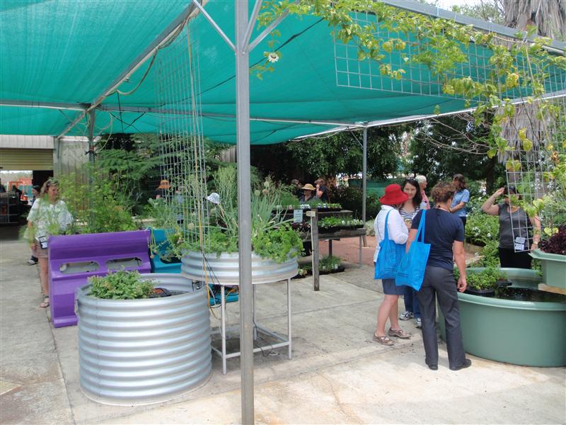 PC090266 (Custom).JPG