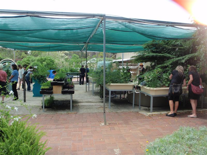 PC090268 (Custom).JPG