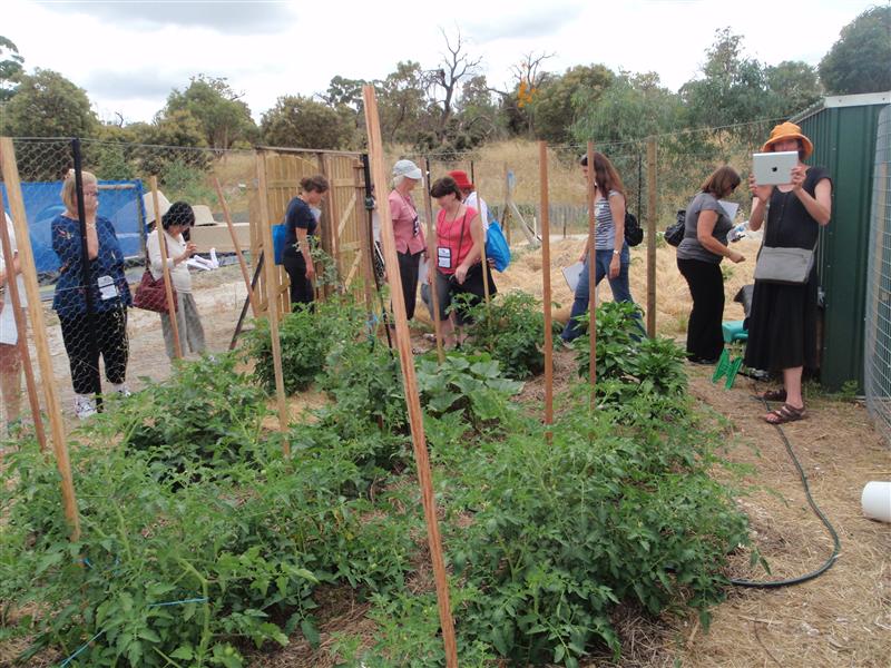 PC090269 (Custom).JPG