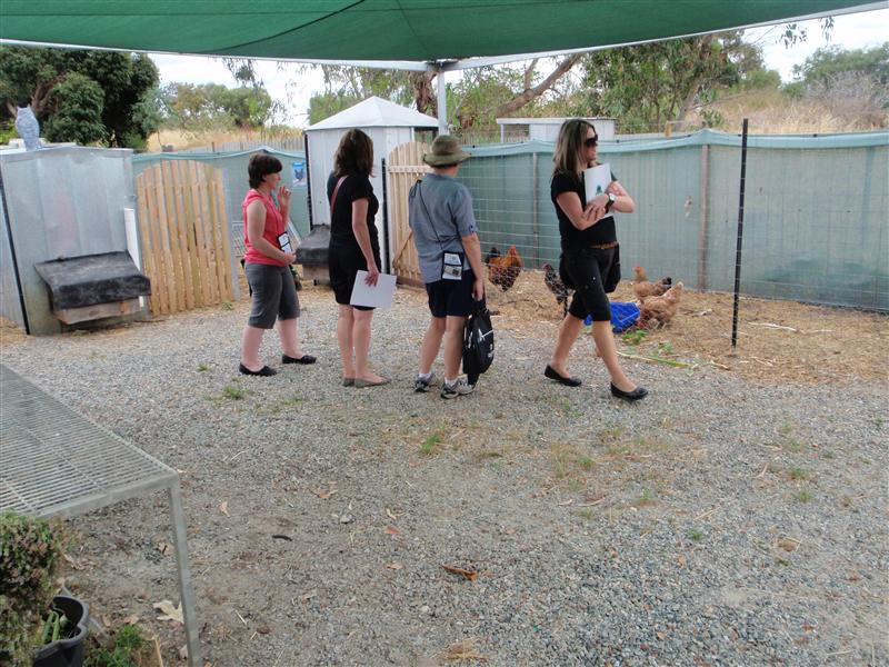 PC090270 (Custom).JPG