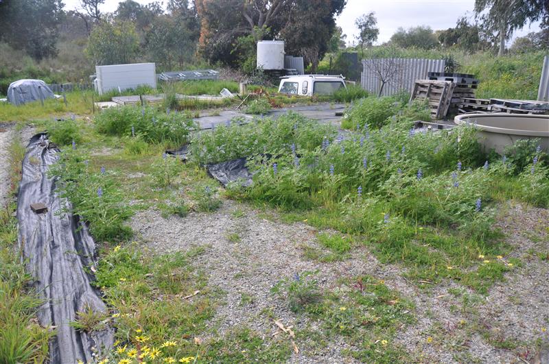 DSC_0172 (Custom).JPG