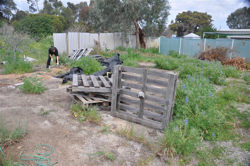 DSC_0239 (Custom).JPG