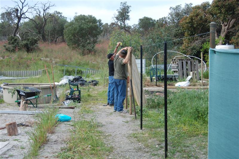 DSC_0782 (Custom).JPG