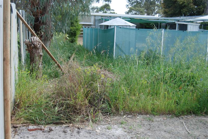 DSC_0787 (Custom).JPG