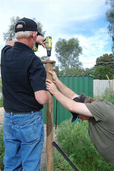 DSC_0791 (Custom).JPG