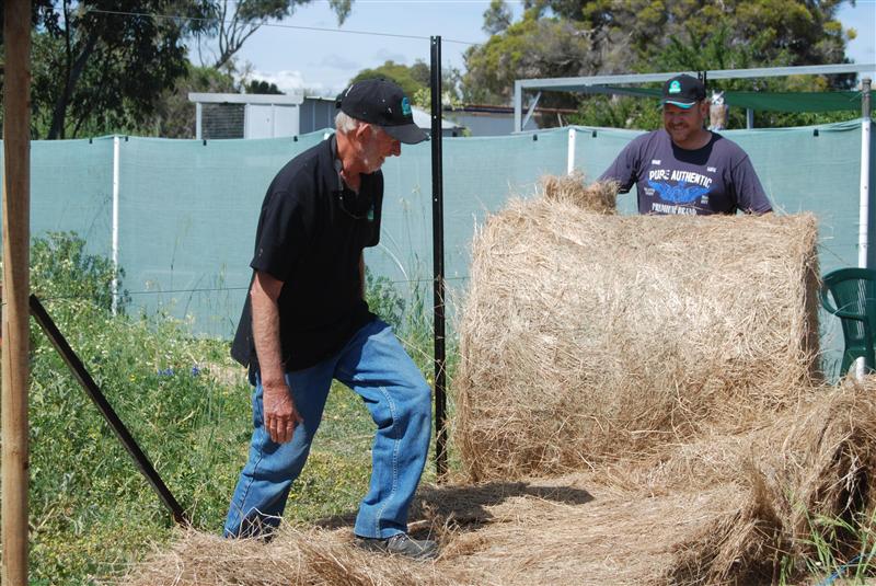 DSC_0799 (Custom).JPG