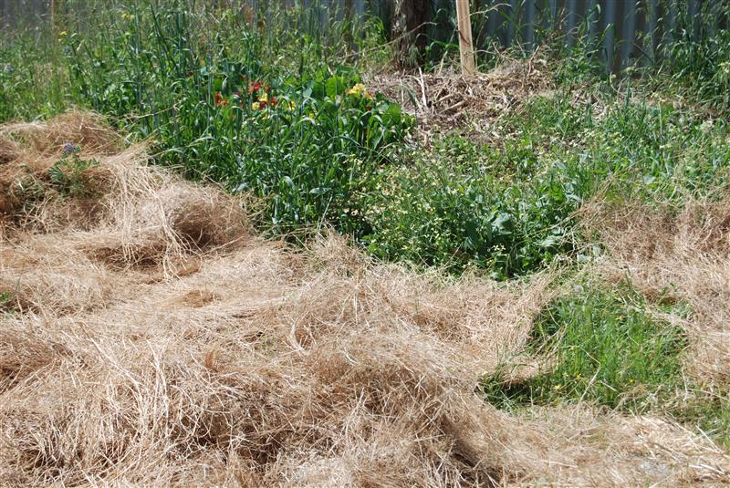 DSC_0806 (Custom).JPG