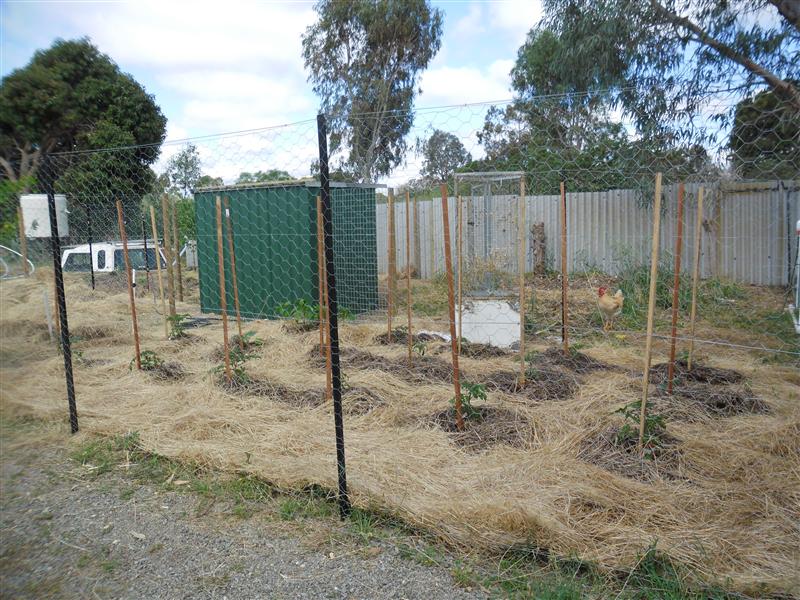 SAM_0933 (Custom).JPG