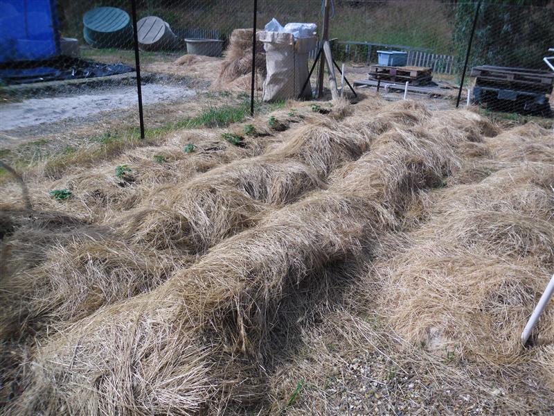 SAM_0936 (Custom).JPG