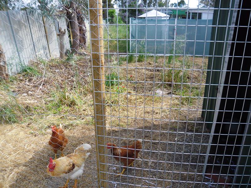 SAM_0938 (Custom).JPG