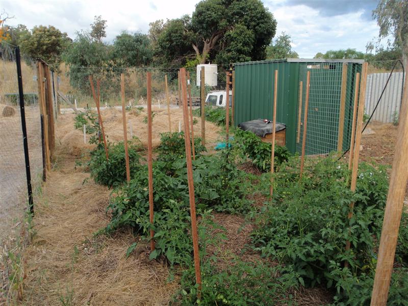 PC080207 (Custom).JPG