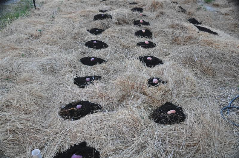 DSC_0327 (Custom).JPG