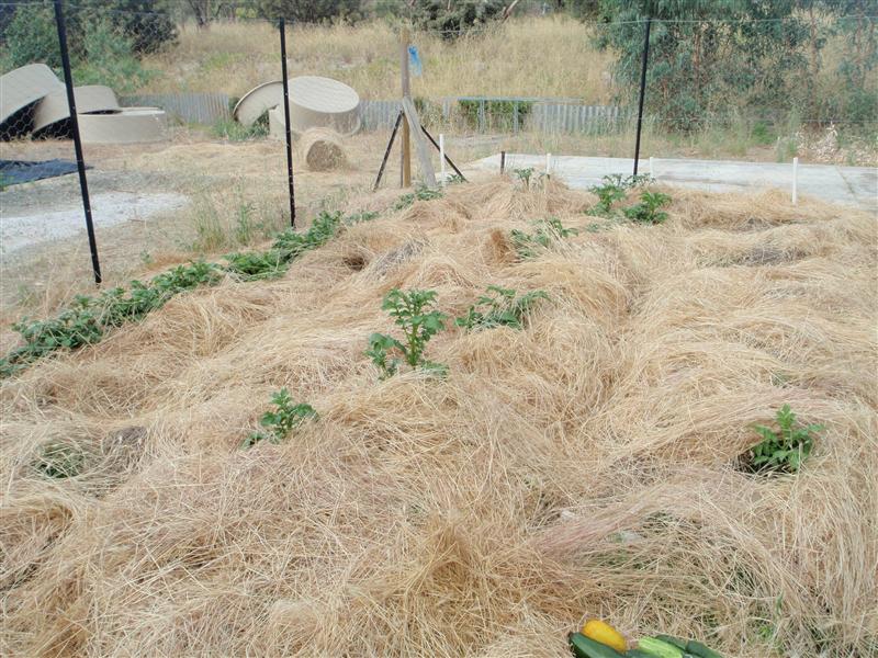 PC080209 (Custom).JPG