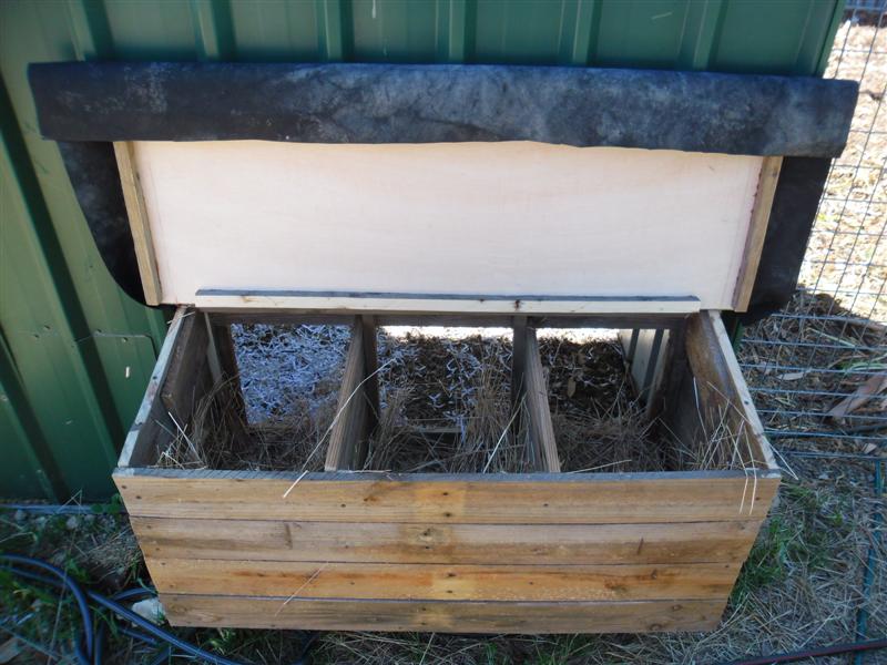 SAM_1144 (Medium).JPG