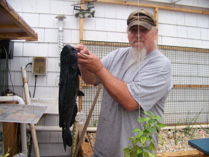 catfish - medium.jpg