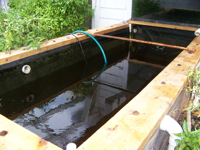 fish tank drain 12-10-11-1.jpg