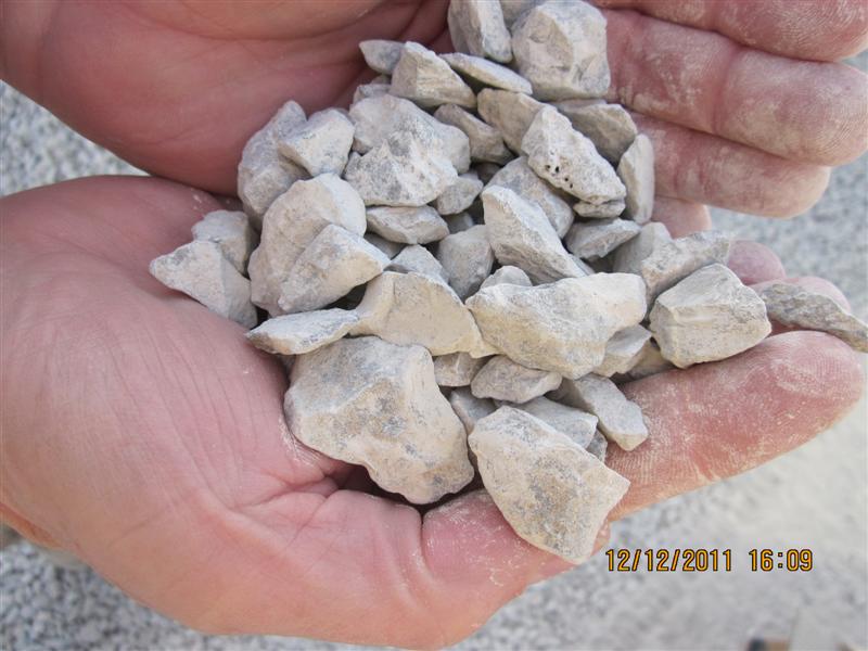 IMG_1313 (Medium).JPG