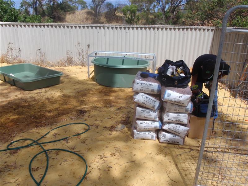 PC140389 (Custom).JPG