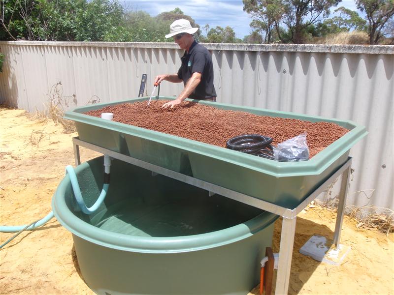 PC150393 (Custom).JPG