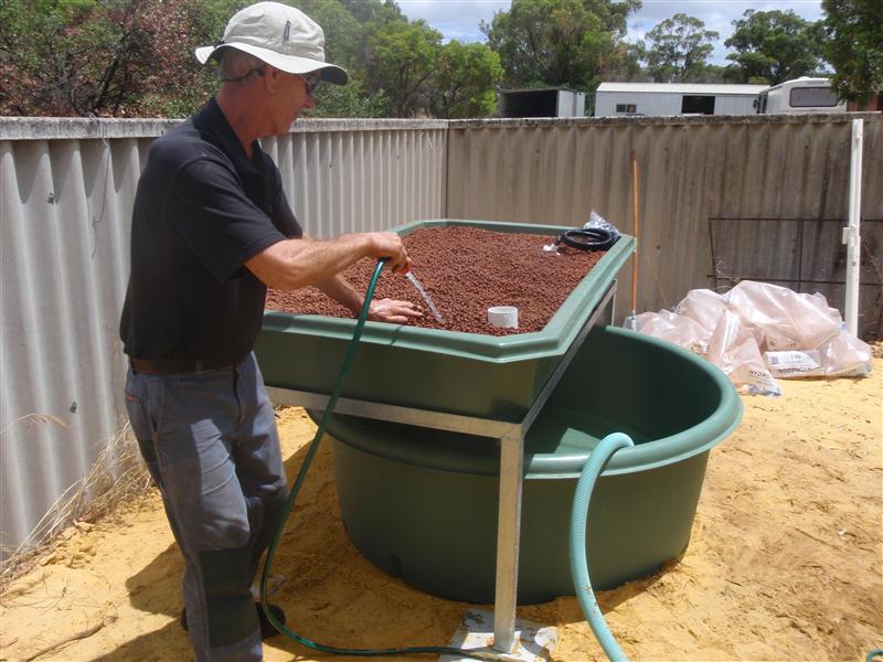 PC150394 (Custom).JPG