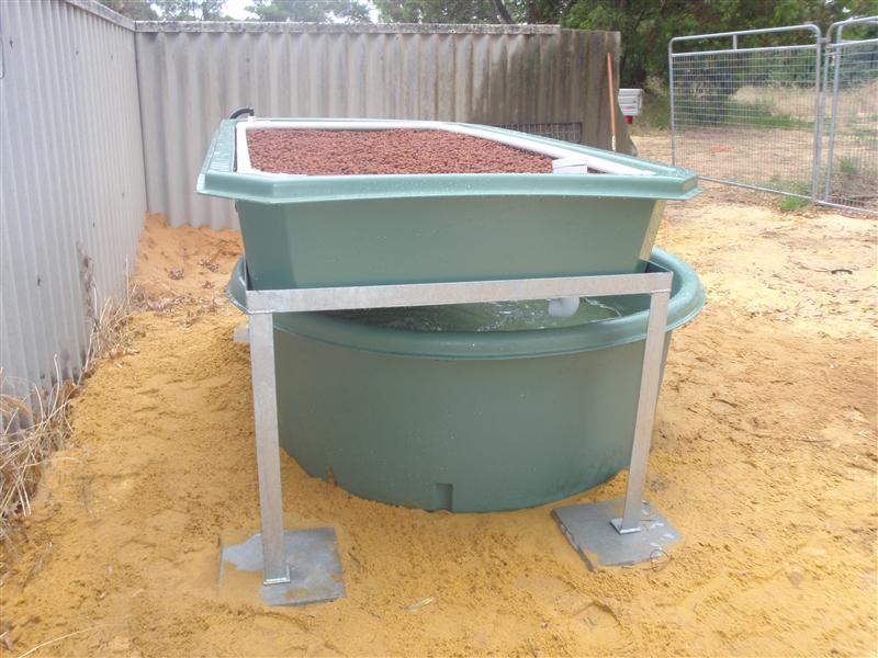 PC150397 (Custom).JPG