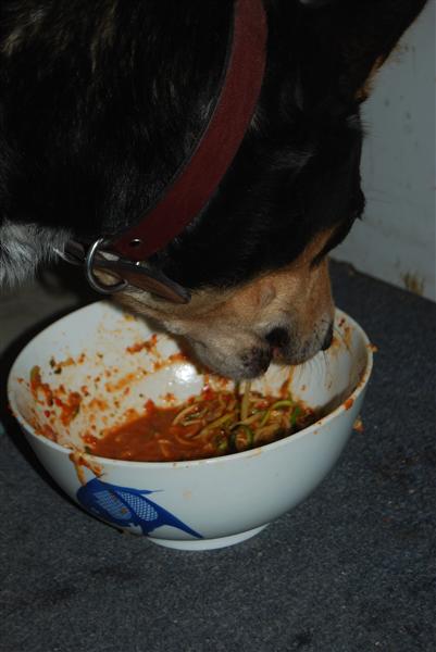 DSC_0362 (Custom).JPG