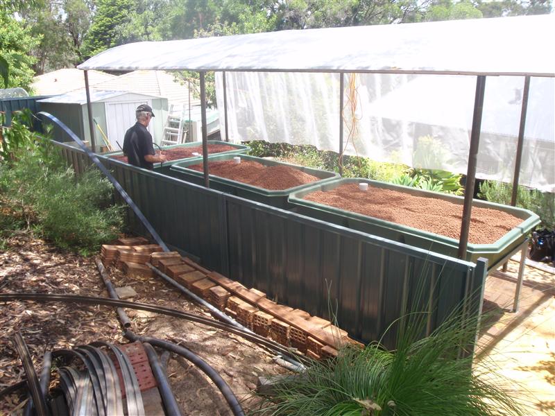 PC160413 (Custom).JPG