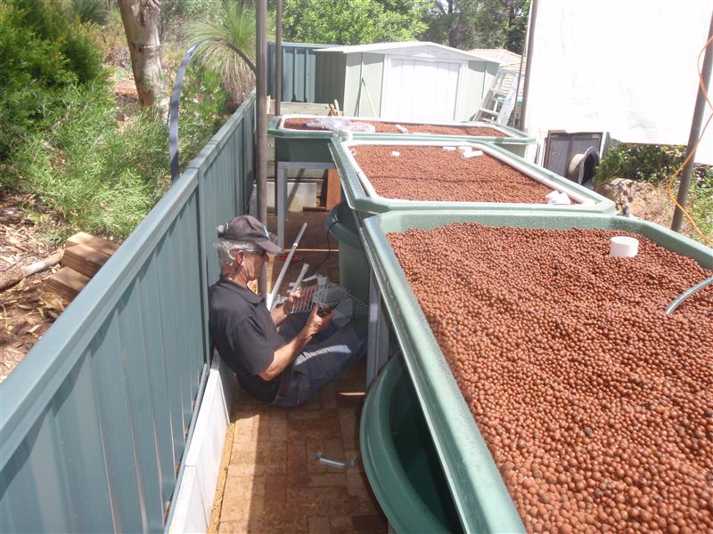 PC160416 (Custom).JPG