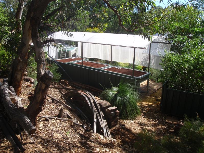 PC160418 (Custom).JPG