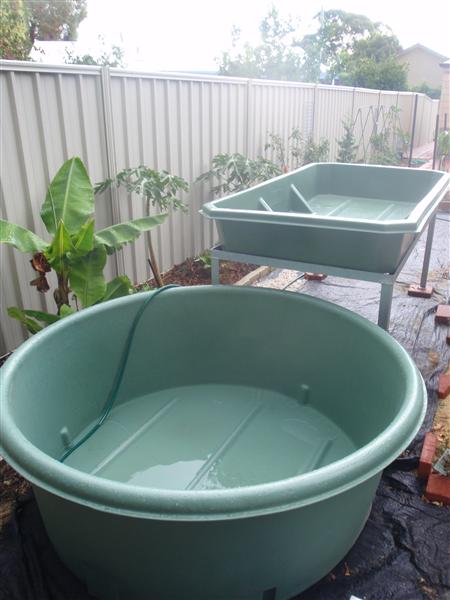 PC120375 (Custom).JPG