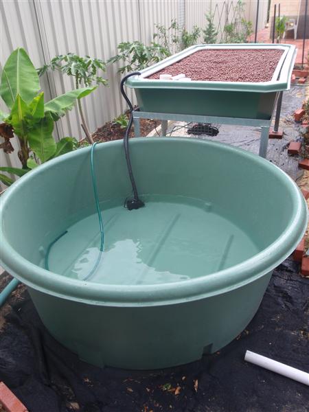 PC120376 (Custom).JPG