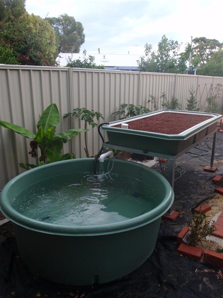 PC120378 (Custom).JPG