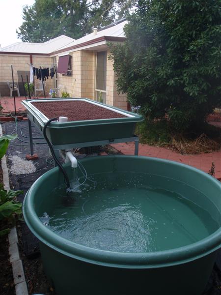 PC120379 (Custom).JPG