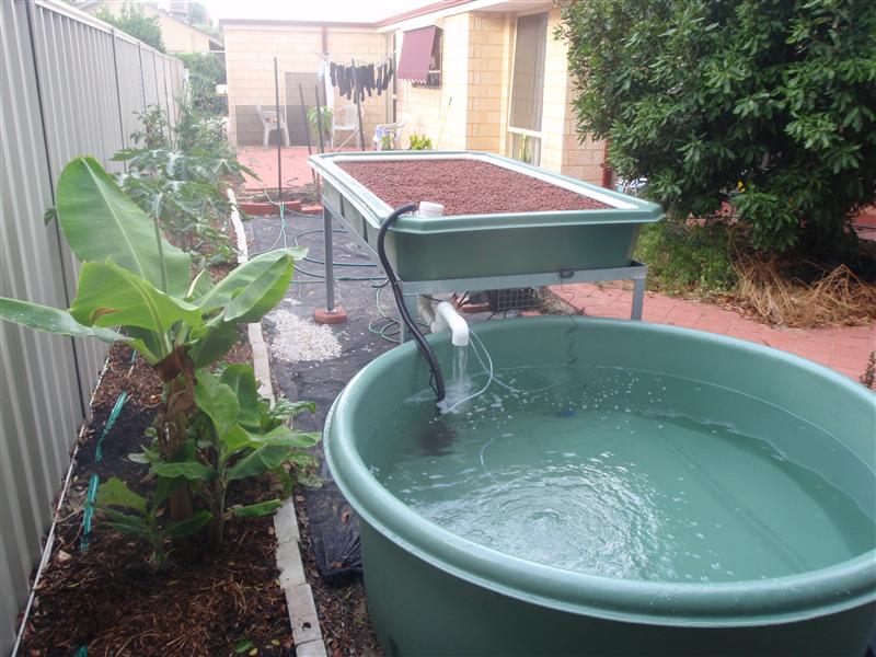 PC120380 (Custom).JPG