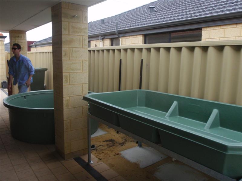 PC110365 (Medium).JPG