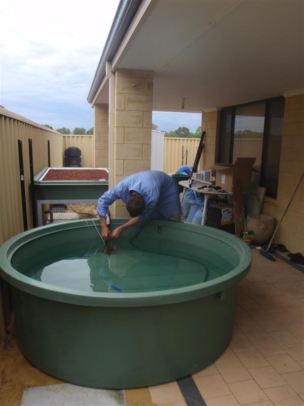 PC120368 (Medium).JPG