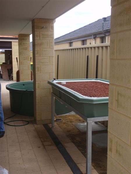 PC120370 (Medium).JPG