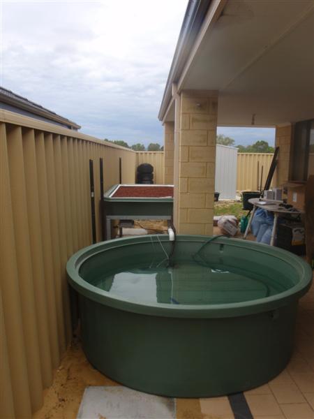 PC120371 (Medium).JPG