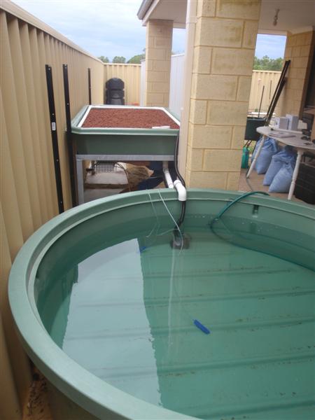 PC120372 (Medium).JPG