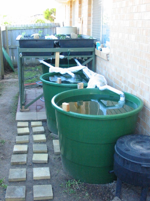 AP uncovered 2805 rs2.jpg