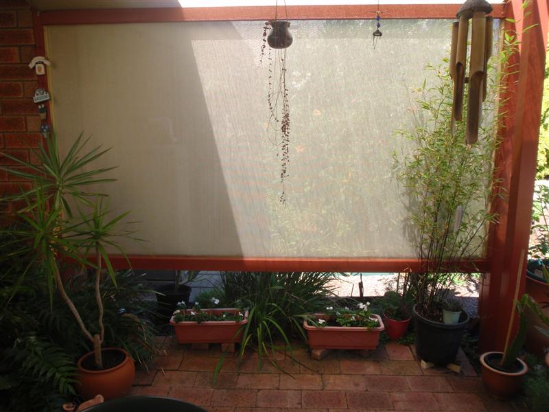 PC190522 (Custom).JPG