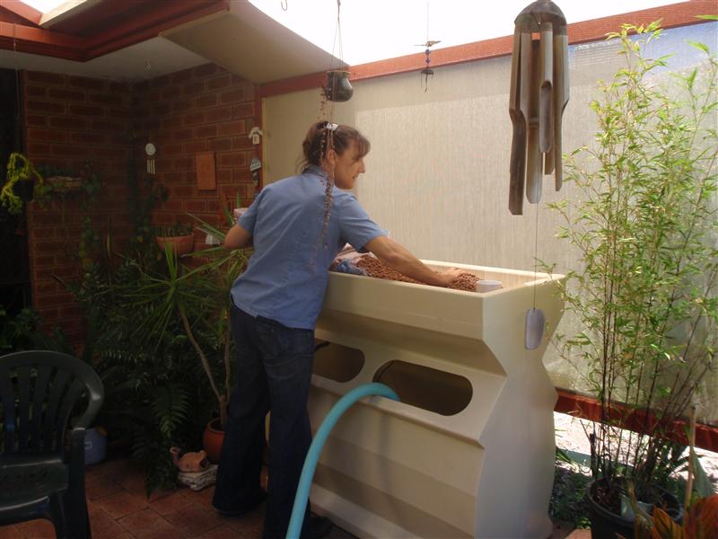 PC200529 (Custom).JPG