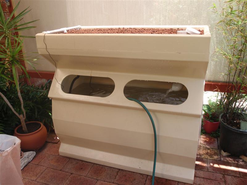 PC200531 (Custom).JPG