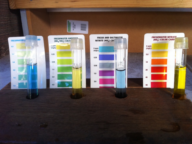 Test AM 21-12-11.JPG