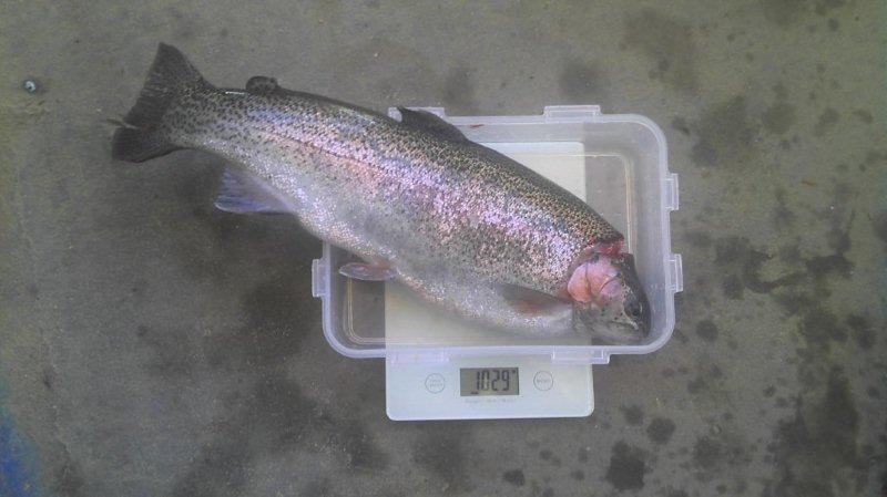 2011-12-21 1029g Rainbow.jpg