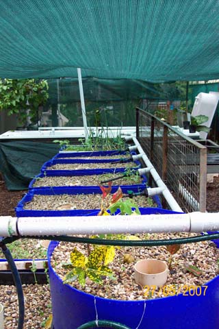 whole system view 1.jpg